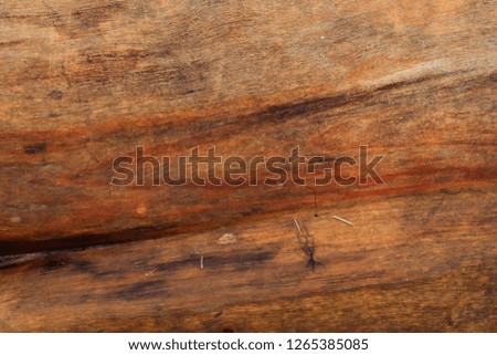 Close up surface of wood and wooden planks in high resolution