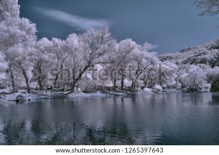 snowy trees lake photo with reflections and water waves infrared shot