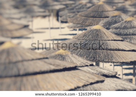 Detail of woven umbrellas above rows on beach. Selective Focus.