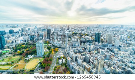 Asia Business concept for real estate and corporate construction - panoramic urban city skyline aerial view under bright blue sky and sun in Tokyo, Japan