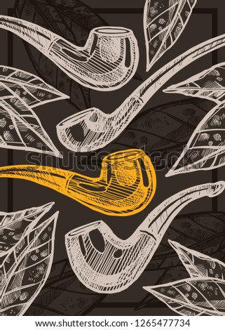Vector color hand drawn poster with sketch vintage retro pipe and tobacco leaves on chalkboard. Template of design about smoking