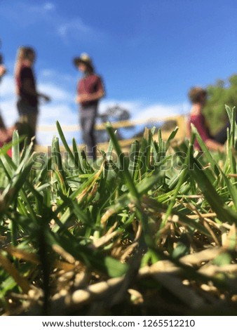 A depth of field picture of two men having a conversation with grass in the foreground.
