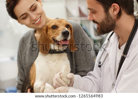 Adorable cute red dog sitting at vet office and looking at camera. Seductive woman with dog smiling and talking while professional vet doctor helps her dog in modern hospital. Concept of vet.