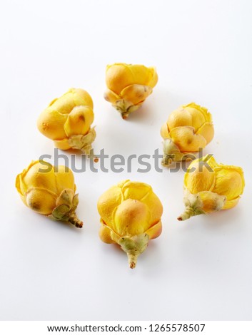 Camellia flowerbed on white background