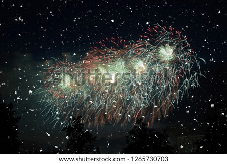 Fireworks on the background of trees and dark sky with falling snow and new year snowfall