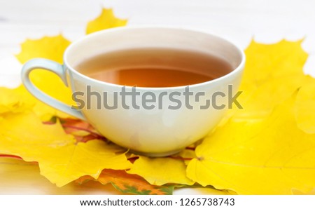 Cup of tea with autumn leaves on the table. Close up.