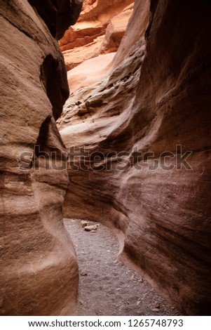 Red Canyon, giant cliffs - The midday sun lights up the colorful sandstone rocks in a high desert slot canyon. Travel in Israel, in the Eilat Mountains.