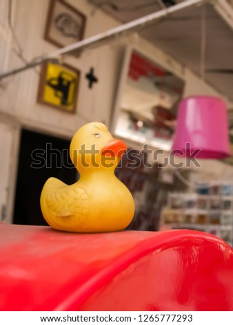 The yellow duck doll is placed on the red lid of the postal in front of the house.