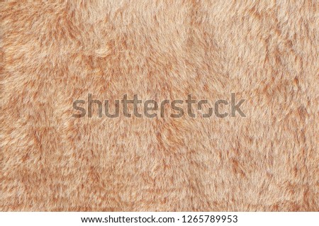 Light beige and brown shaggy fluffy fur texture background