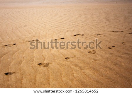 A desert area, two lines of traces of humans feet go to the horizon. Makey, Queensland, Australia.
