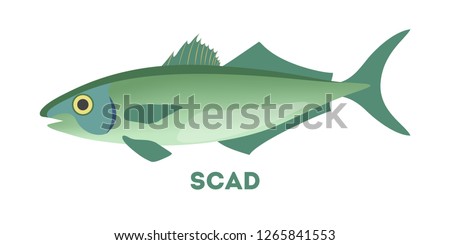Scad fish. Marine food. Idea of fishing and aquaculture. Flat vector illustration