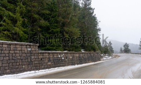 A shot of coniferous forest down the muddy road and some snow covered land. Photo is taken in Rhodope mountain, Bulgaria. 