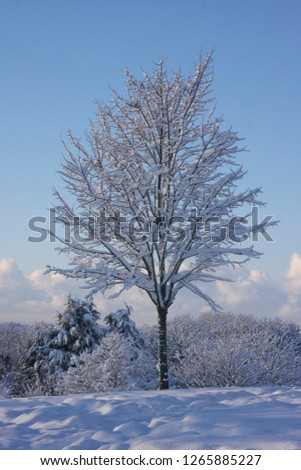 Winter scene in the early morning in Llanishen, Cardiff, South Wales, UK after a heavy fall of snow for Christmas card or calendar design