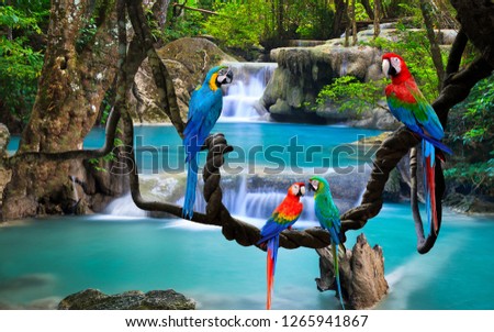 beautiful parrots and an amazing waterfall in the background