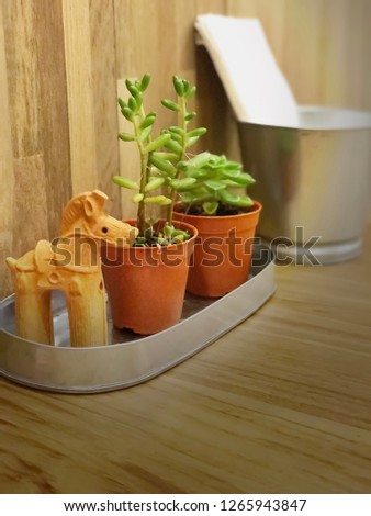 flowerpots and wooden horse are decorated on wooden table
