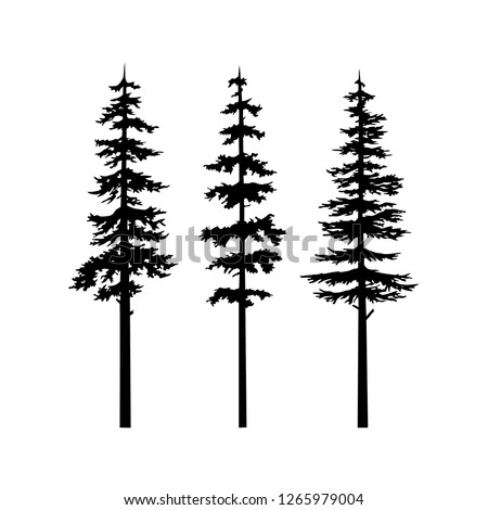 Black Tree Silhouette vector, collection tree cypress silhouette, coniferous nature vector set isolated illustration, tribal art templates, tattoo idea. Sketch for interior design and clothing design