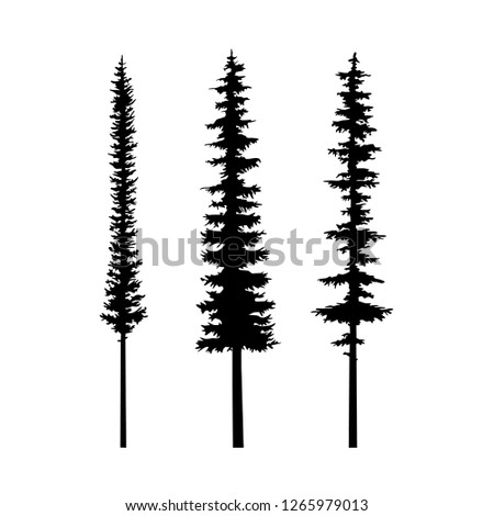 pine tree silhouette vector set, tattoo logo tree coniferous silhouette, set isolated illustration, tribal art  templates, tattoo idea. Sketch for interior design and clothing design