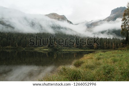 Misty landscape with fir forest in hipster vintage retro style. clear lake of water