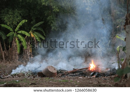 burning the logs