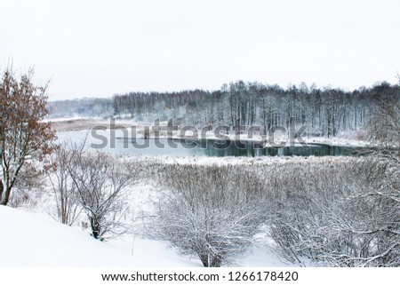 Winter. Christmas and New Year. The first December snow covered the shores of the forest lake. Winter landscape