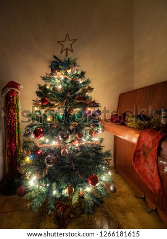 Decorated christmas tree in the corner of the room near piano. Branches with bulbs and light of the electric garland and top of the christmas tree with star.