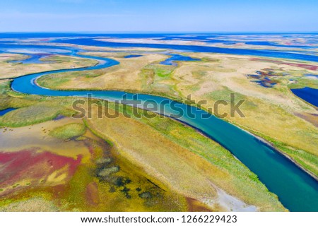 wildness nature with river from aerial view from drone