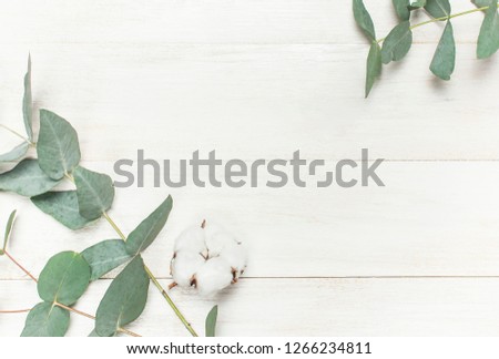 Eucalyptus twigs and cotton flower on white wooden background. Flat lay, top view, copy space. Floral background, flowers composition. 