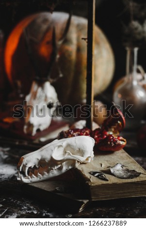 Halloween decor. 4k wallpaper. Old pumpkins, pomgranates, apples and skulls covered with dust stand on the table with net. Spooky decorations. Gothic motives.