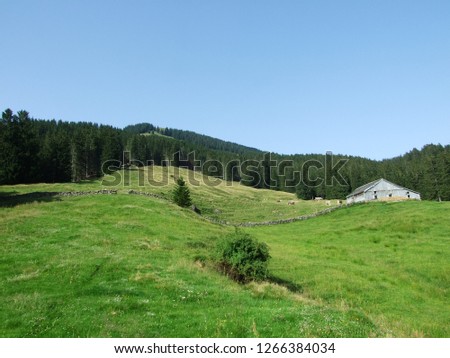 Picturesque pastures and hills of the Obertoggenburg area - Canton of St. Gallen, Switzerland