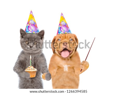 Kitten and Puppy in birthday hats holding cupcake and pointing away on empty space. isolated on white background