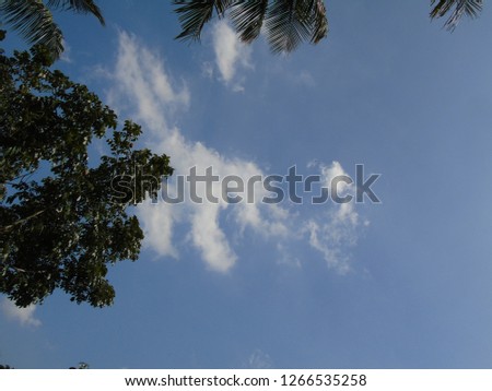 
Pictures of beautiful clouds in the sky above the green vegetation