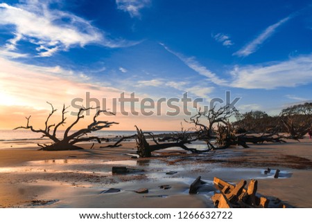 Sunrise view of Driftwood Beach in Jekyll Island, Georgia. Driftwood is popular with its long beach full of dead tree roots along ocean. Royalty-Free Stock Photo #1266632722