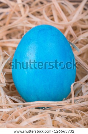 Colorful painted easter egg in wood shavings
