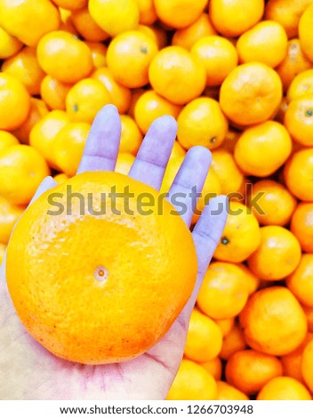 Hand selection and pick up orange. Blur picture of heap of Golden oranges background, close up and zoom concept.Hand picked fresh orange.