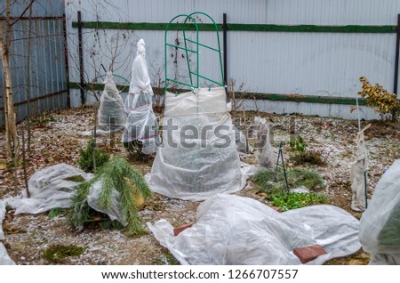 Shelter for the winter spunbond plants on the plot Royalty-Free Stock Photo #1266707557