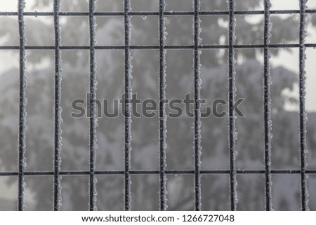 Metal Fence in Snow, Winter Background