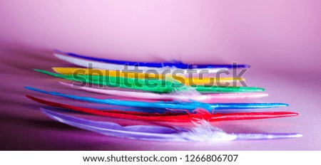different feathers.color background