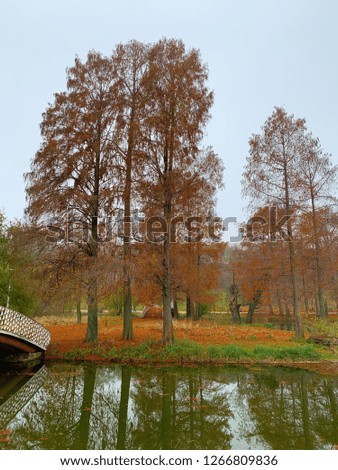 Autumn season in city park with lake