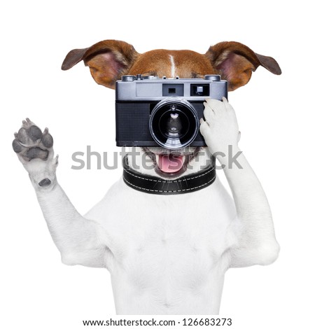 dog taking a photo with an old camera