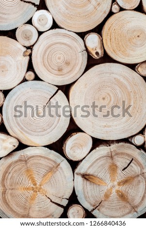 tree stumps and saws brown and red background