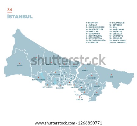 District map of Istanbul Province, Turkey. Royalty-Free Stock Photo #1266850771
