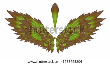 Wing design using leaves Ornamental Hemp cactus isolated.Take a picture and then arranged into a wing  .This has clipping path.