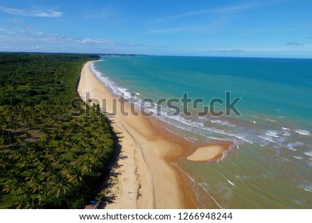 Aerial view of Caraíva beach, Bahia, Brazil.  Beautiful beach scene. Vacation, travel, resort, peace, tranquility, paradisiac. Tropical travel. Deserted beaches. Travel destination.