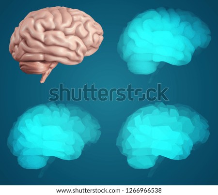 human brain. Vector set in different styles. meshe