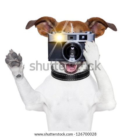 dog taking a photo with an old camera and flashing