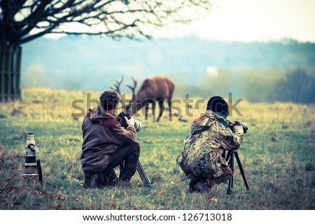 Photographers taking photo of deer