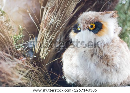  beautiful owl doll in the nature forest habitat, hidden in the tree. Natural imitation decoration
