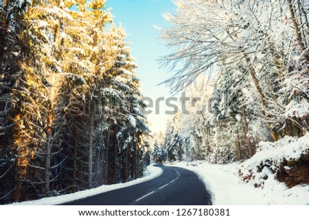 Winter road with snow-covered trees. Beautiful winter landscape. Vintage filter