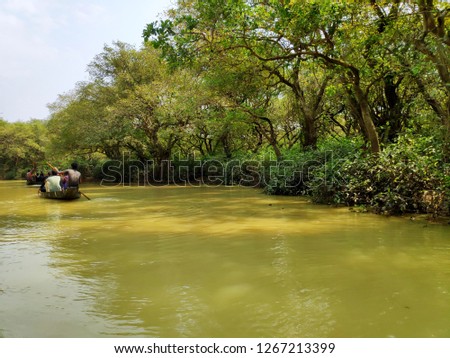 Swamp forest of Bangladesh