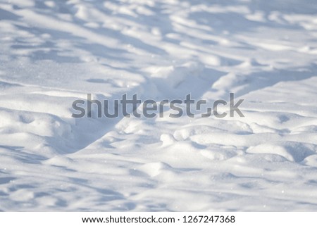 footprints on white snow winter